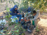 Estudiantes culminan pasantía interna en La Huerta